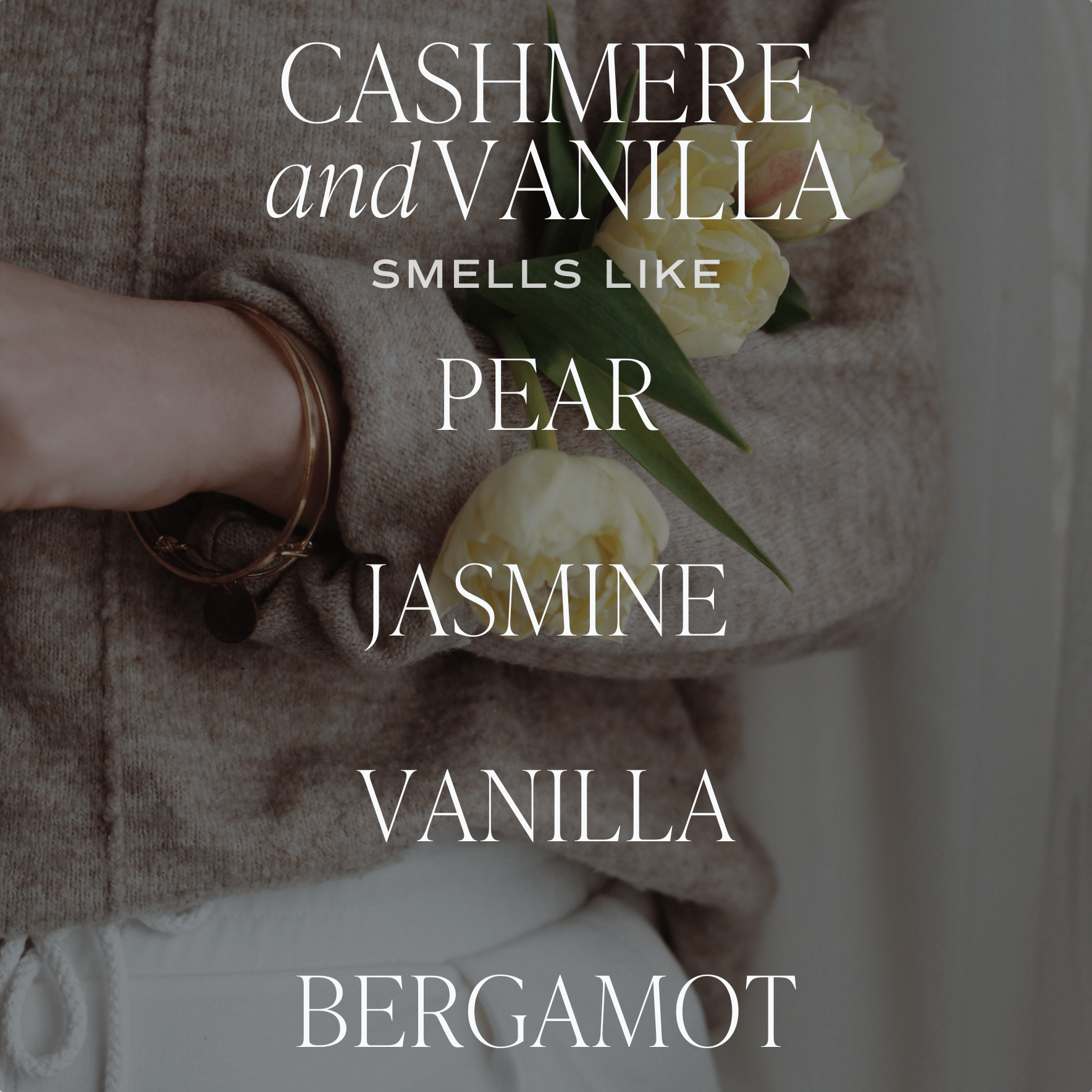 Cashmere and Vanilla Tinted Glass Jar Reed Diffuser - elizabeth + Bern