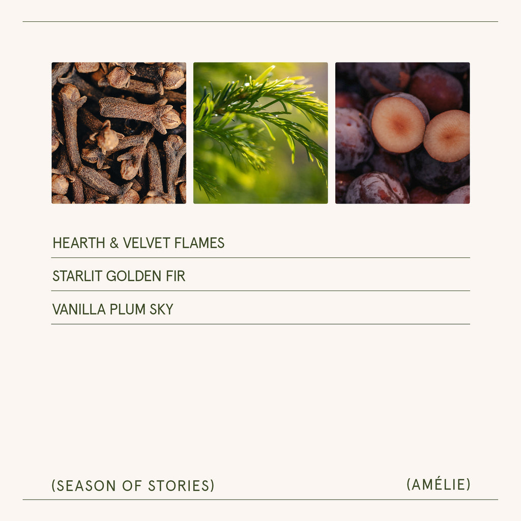 Season of Stories Trio Set