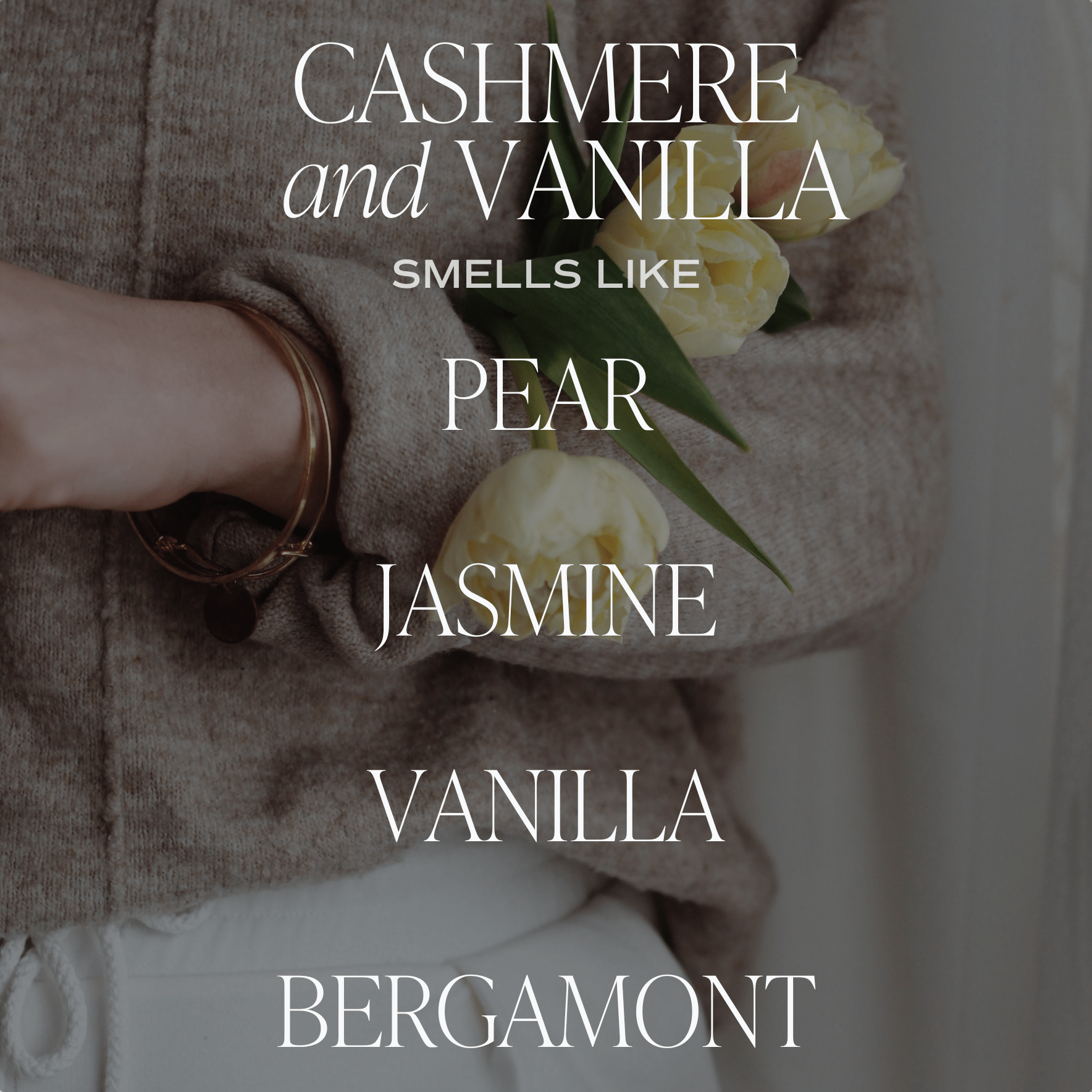 Cashmere and Vanilla Soy Candle - Tinted Glass Jar - 12 oz - elizabeth + Bern
