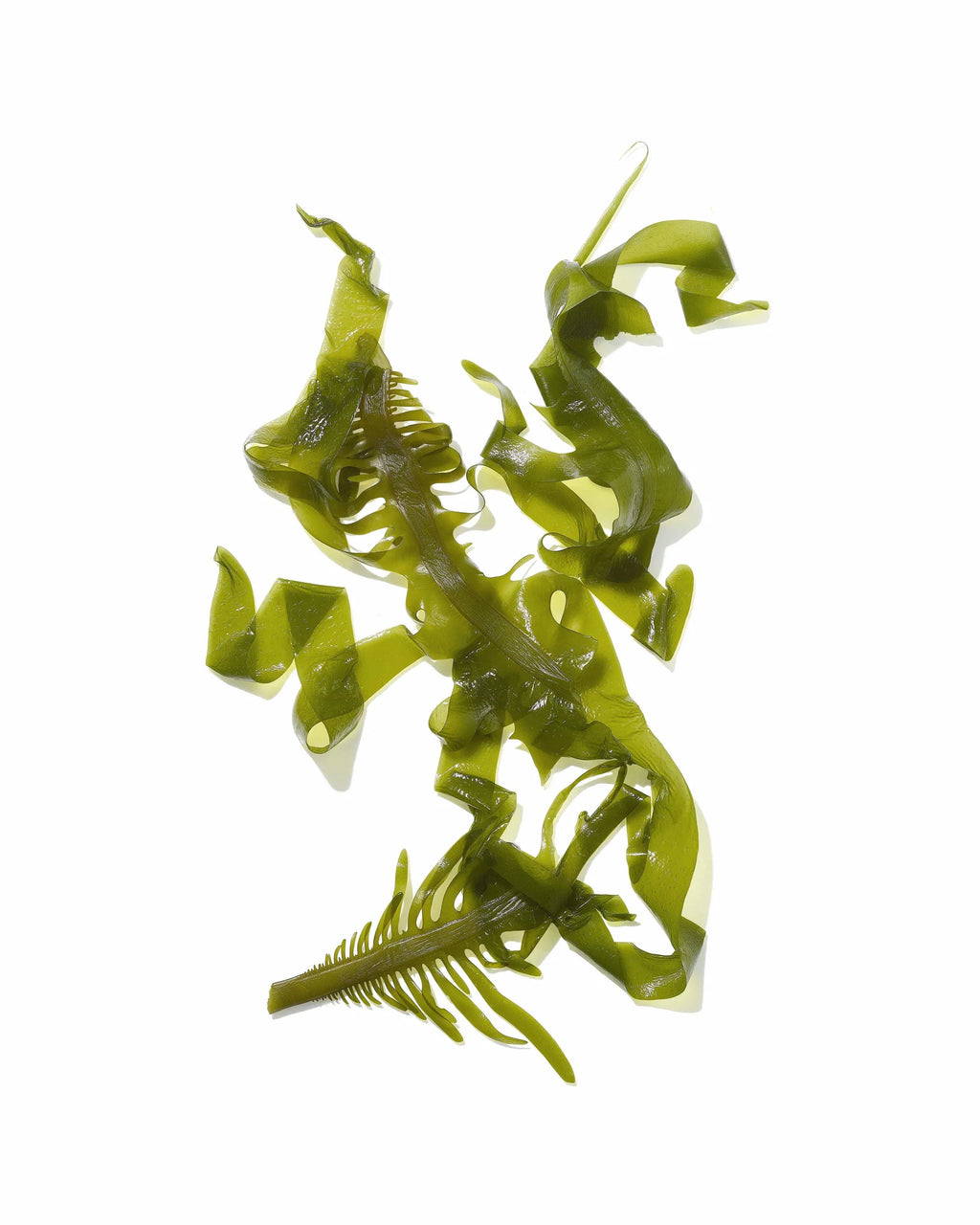 Hair Towel & Conditioner Bundle By MASAMI