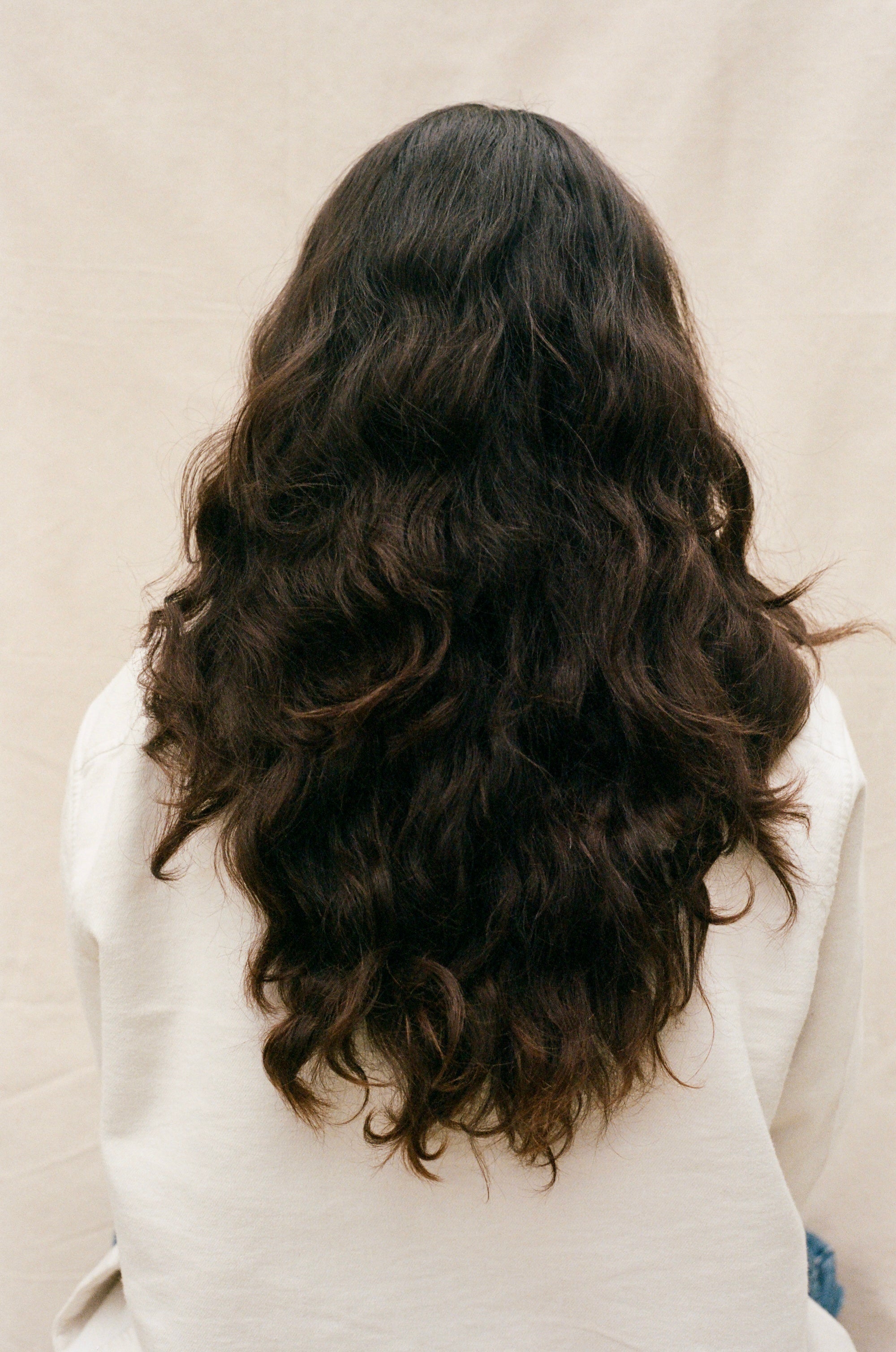 Dry Shampoo Brush by & Tread Well