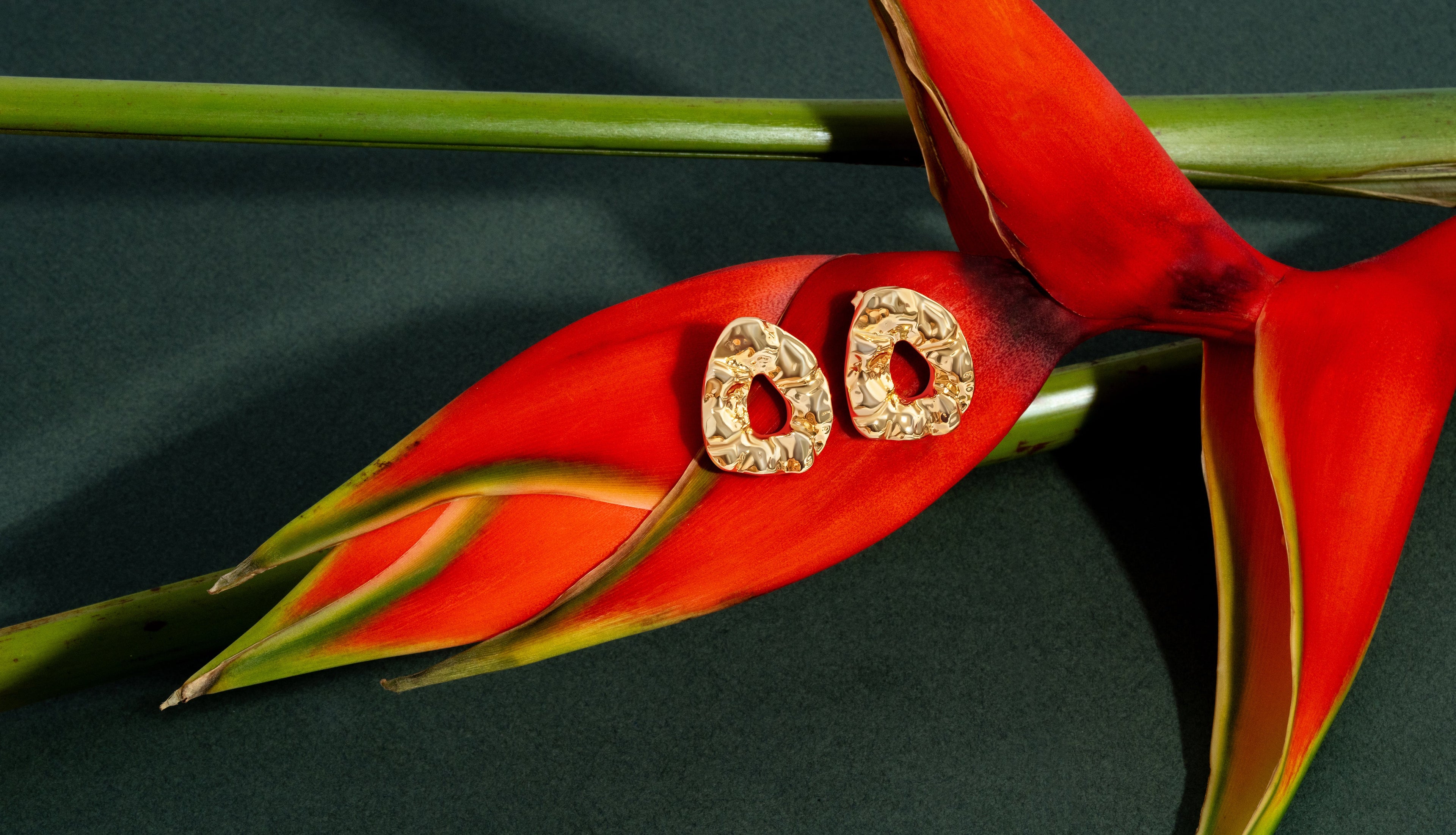 Nathalia Sculpted Hammered Earrings