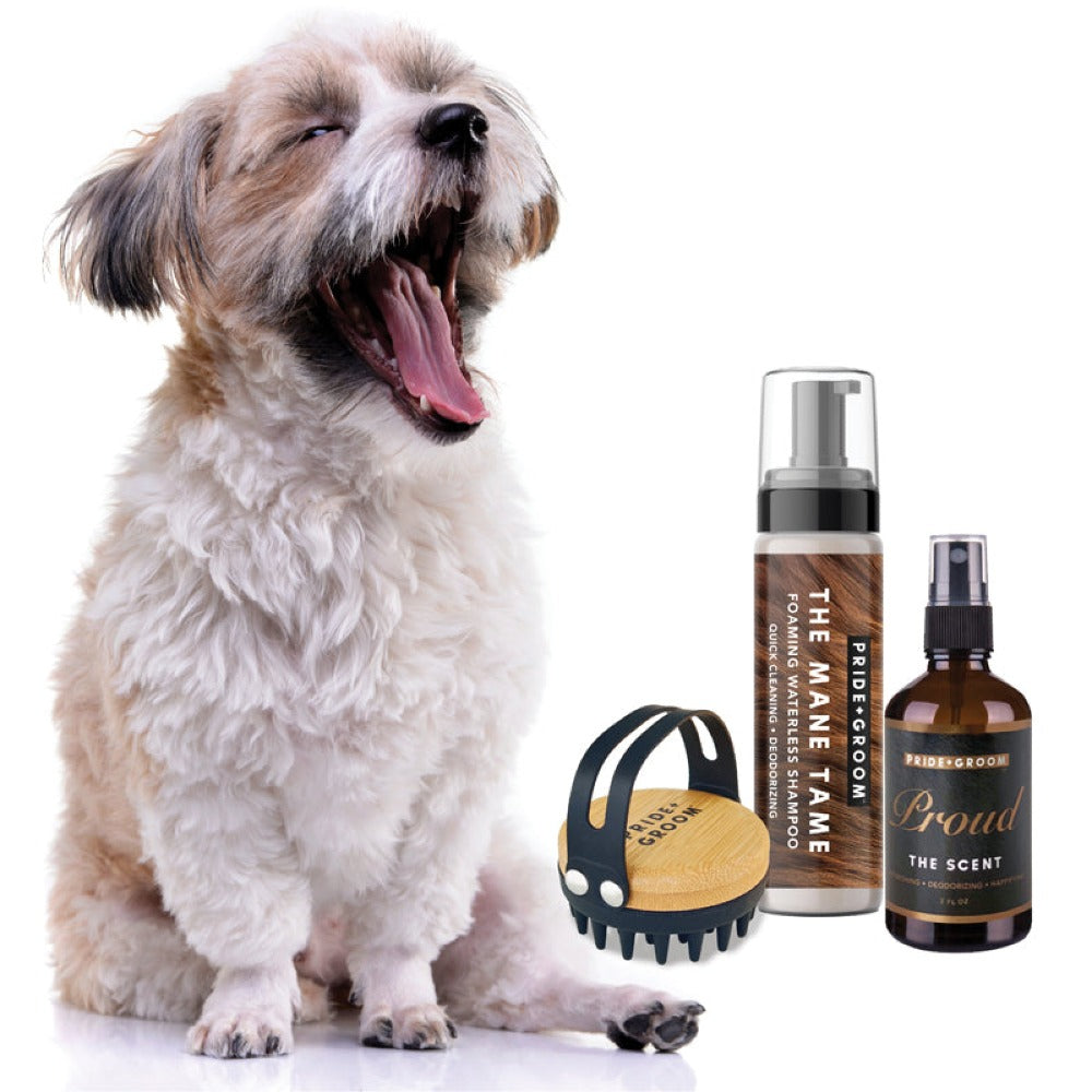 Waterless Dog Grooming Kit by PRIDE+GROOM