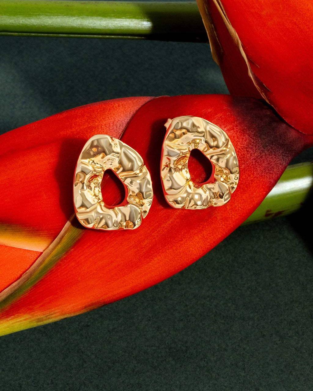 Nathalia Sculpted Hammered Earrings